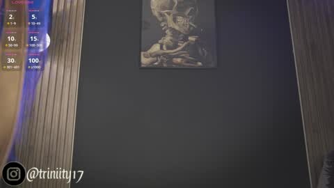 Media: Video of a dark, black wall adorned with a framed, sepia-toned, skeletal artwork. The image includes a digital overlay with a Twitter handle, \"@trinity17,\" and a social media icon.