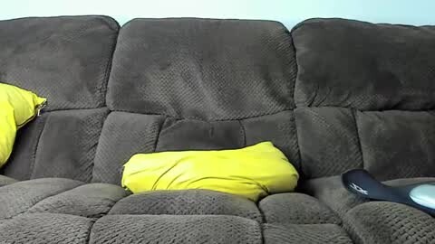 Media: A video of a plush, dark brown sectional sofa with a textured, quilted pattern. Two bright yellow cushions are placed on the left side, and a black remote control is on the right. The background is a light blue wall.