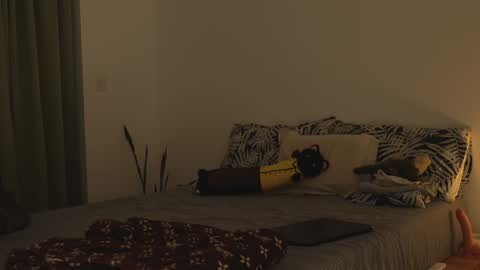 Media: A dimly-lit video of a bed with a grey blanket, pillows, and a partially covered body. The room features a wooden headboard and a dark curtain on the left.