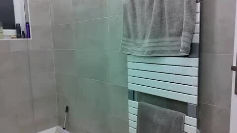 Media: A video of a modern bathroom featuring a grey towel hanging on a white towel rack, with beige tiled walls and a glass shower enclosure in the background.