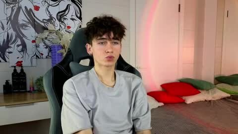 Media: Video of a young man with curly hair, light skin, and a gray T-shirt, seated on a green gaming chair in a modern room with white walls, red pillows, and a black and white abstract wall art.