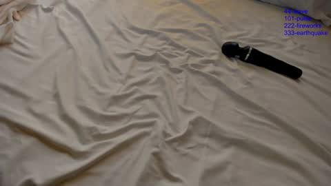 Media: Video of a beige bedsheet with a black vibrator lying on it, slightly wrinkled. The image is timestamped \"11:03:35 AM\" in the top right corner.