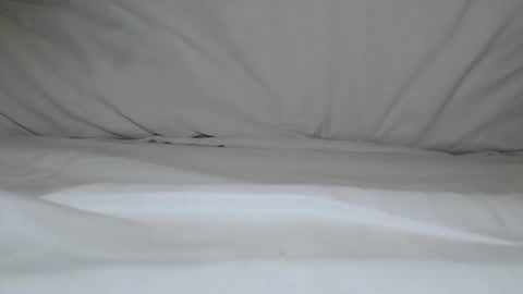 Media: Video of a neatly made bed with white sheets, featuring subtle folds and creases, creating a serene, minimalist bedroom atmosphere.