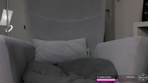 Media: Video of a gray, plush, tufted sofa with a green, cylindrical object placed on the cushions. The background features a light gray wall and a white door, suggesting a modern, minimalist living room setting.