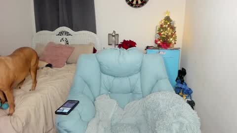 Media: Video of a cozy, cluttered bedroom with a light blue, plush recliner, a golden retriever, beige bedding, a Christmas tree, and assorted toys.