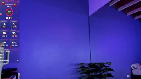 Media: Video of a modern, well-lit room with vibrant blue walls. A digital thermometer and weather display is mounted on the left wall. A potted plant is placed at the bottom right corner. The room has a minimalist design.