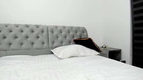 Media: Video of a modern, minimalist bedroom with a tufted, light gray upholstered headboard, white bedding, a black decorative pillow, and a gray nightstand with a small vase of flowers.