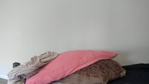 Media: Video of a beige bed with a pink pillow, a gray blanket, and a patterned pillow. The background is a plain, light beige wall.