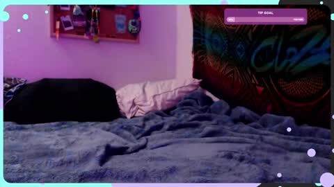 Media: Video of a purple-painted bedroom with a black cat curled up on a bed covered in a blue blanket. A colorful, patterned tapestry hangs on the wall, and a wooden shelf with various items is visible.