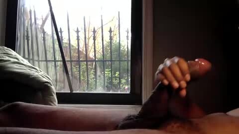 Media: Video of a man's erect penis, held by his hand, against a window with a view of an iron fence and trees.