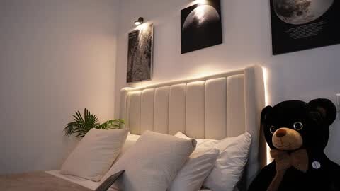 Media: Video of a modern, minimalist bedroom with a white padded headboard, two framed lunar photos, a black bear plush with a scarf, and a small green plant.