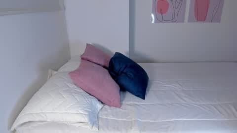 Media: Video of a simple, minimalist bedroom featuring a neatly made white bed with two pillows: a pink and a navy blue. The background includes a white wall with a framed abstract art piece in shades of pink and purple.