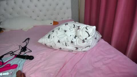 Video of a pink bed with white headboard, featuring a white pillow with black cat prints and a pink pillow. Black vibrator on bed, along with scattered clothing items.