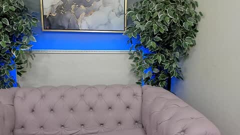 Media: Video of a plush, light pink tufted sofa with decorative green plants in tall pots flanking it against a pale beige wall. Background features a framed map with a blue gradient and a white ledge.