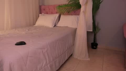 Media: A video of a neatly made bed with white linens and a pink, tufted headboard, surrounded by a sheer, white canopy. A small black object lies on the left side of the bed.