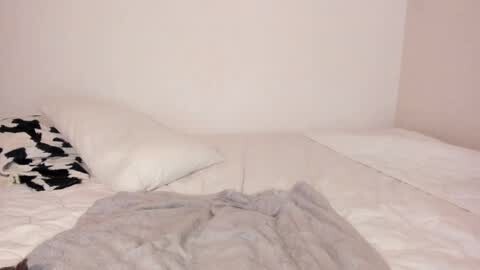 Media: Video of a minimalist bedroom with a white bed, a black and white geometric-patterned pillow, a white pillow, and a grey blanket partially covering the bed.