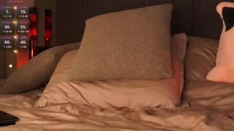 Media: Video of a cozy bedroom with beige sheets, a plush pillow, and a plush bear toy on a dark wooden headboard. Background features a digital clock display and red-lit bottles, giving a warm, intimate atmosphere.