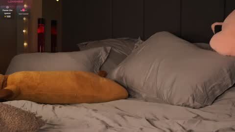Media: Video of a cozy bedroom with a plush, tan pillow and gray bedding, featuring a soft teddy bear in the background, dim lighting, and fairy lights.