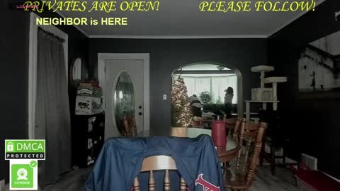 Media: A video of a dimly lit living room with dark walls, a table covered in a blue cloth, a Christmas tree, and a \"PRIVATES ARE OPEN\" sign.
