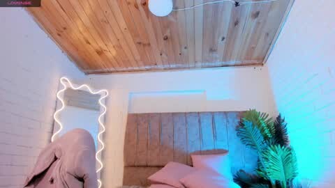Media: A video of a cozy bedroom with wooden ceiling, white walls, a mirrored wall with LED lights, a plush bed, and a green potted plant.