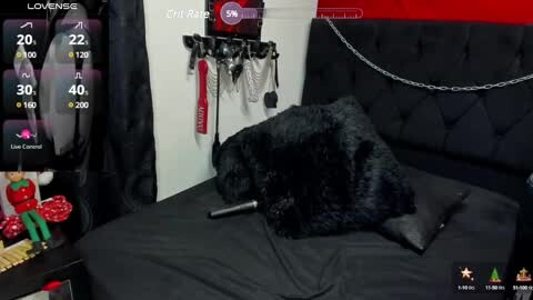 Media: Video of a black cat lying on a black bed with a tufted headboard, surrounded by BDSM gear and toys. The scene is set in a dimly lit room with a red wall, featuring a chain on the bed.