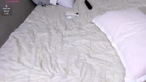 Media: Video of a neatly made bed with a white quilted duvet, two white pillows, and a black remote control on the right side. The bed has a light gray headboard.