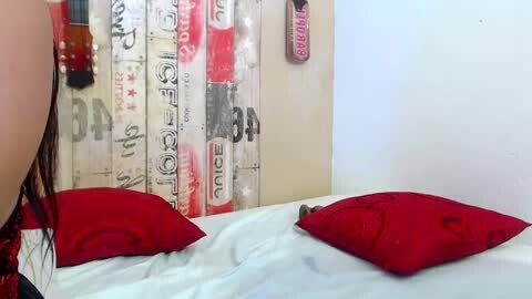 Media: Video of a bed with white sheets and two red pillows, against a wall adorned with vintage-style, distressed wooden panels and red and white signage.